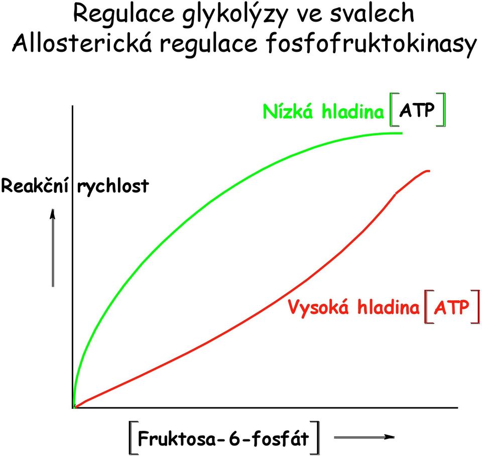 fosfofruktokinasy Nízká hladina ATP