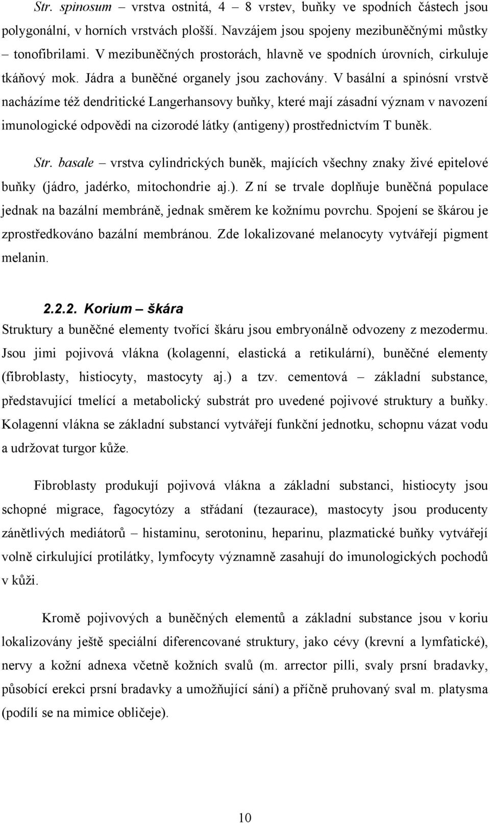 V basální a spinósní vrstvě nacházíme též dendritické Langerhansovy buňky, které mají zásadní význam v navození imunologické odpovědi na cizorodé látky (antigeny) prostřednictvím T buněk. Str.