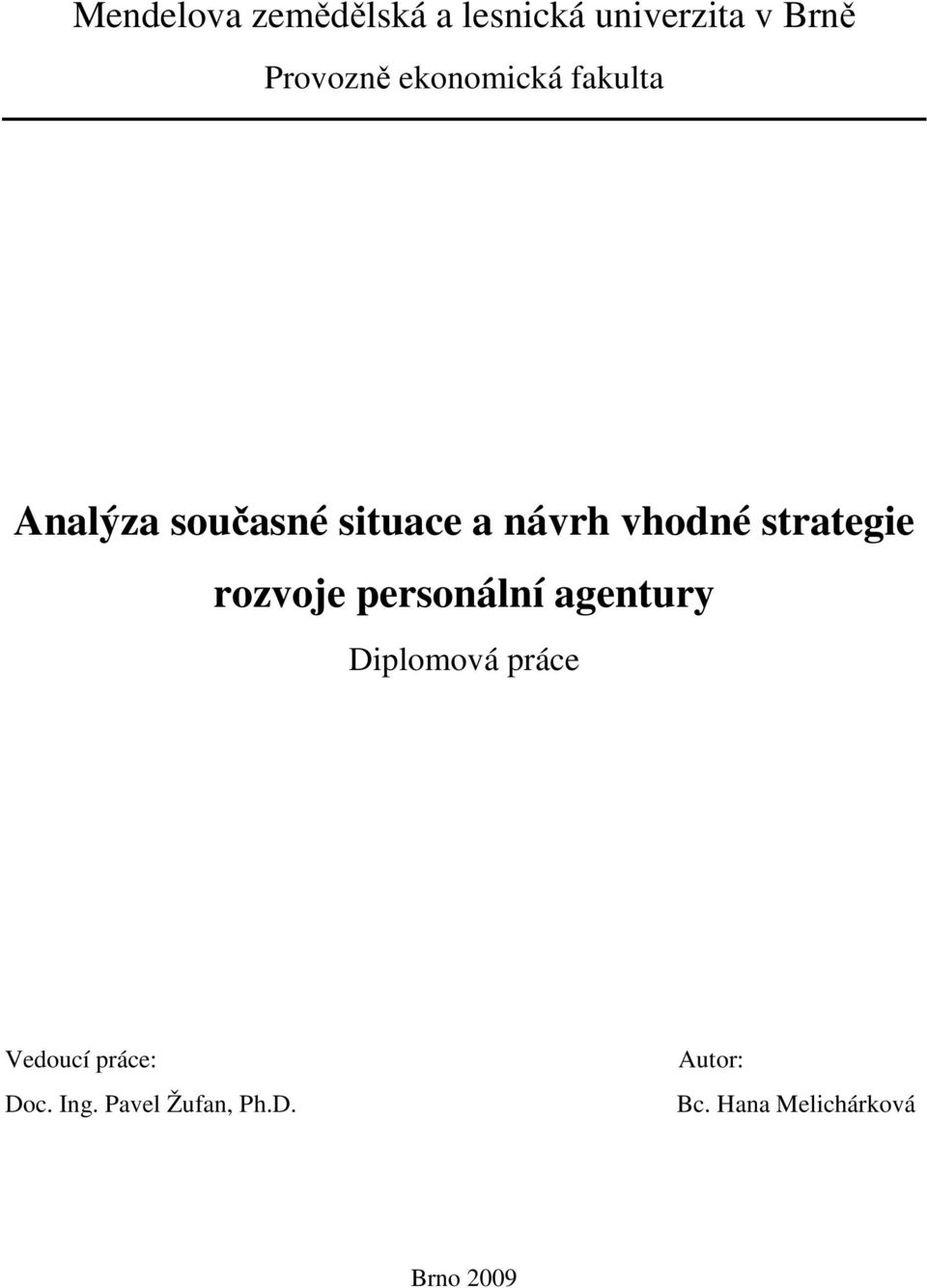 strategie rozvoje personální agentury Diplomová práce Vedoucí