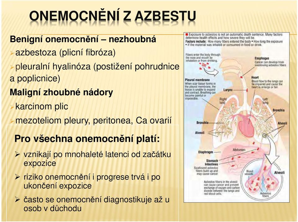 peritonea, Ca ovarií Pro všechna onemocnění platí: vznikají po mnohaleté latenci od začátku