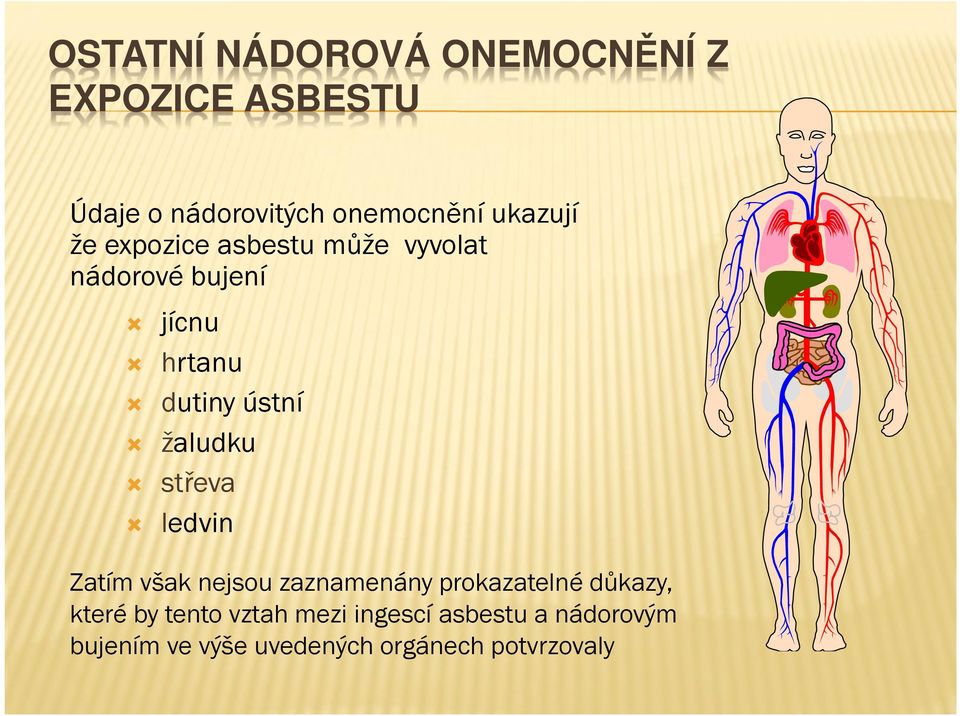 žaludku střeva ledvin Zatím však nejsou zaznamenány prokazatelné důkazy, které by