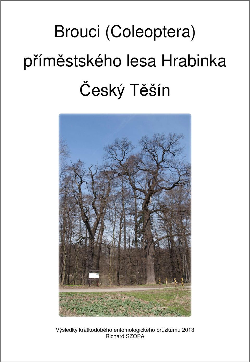 Český Těšín Výsledky