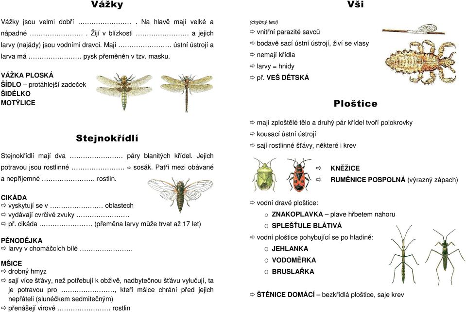 CIKÁDA vyskytují se v oblastech vydávají cvrčivé zvuky př.