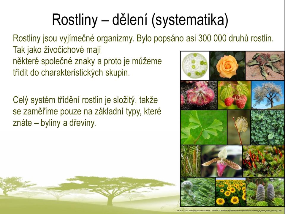 Celý systém třídění rostlin je složitý, takže se zaměříme pouze na základní typy, které znáte byliny a dřeviny.