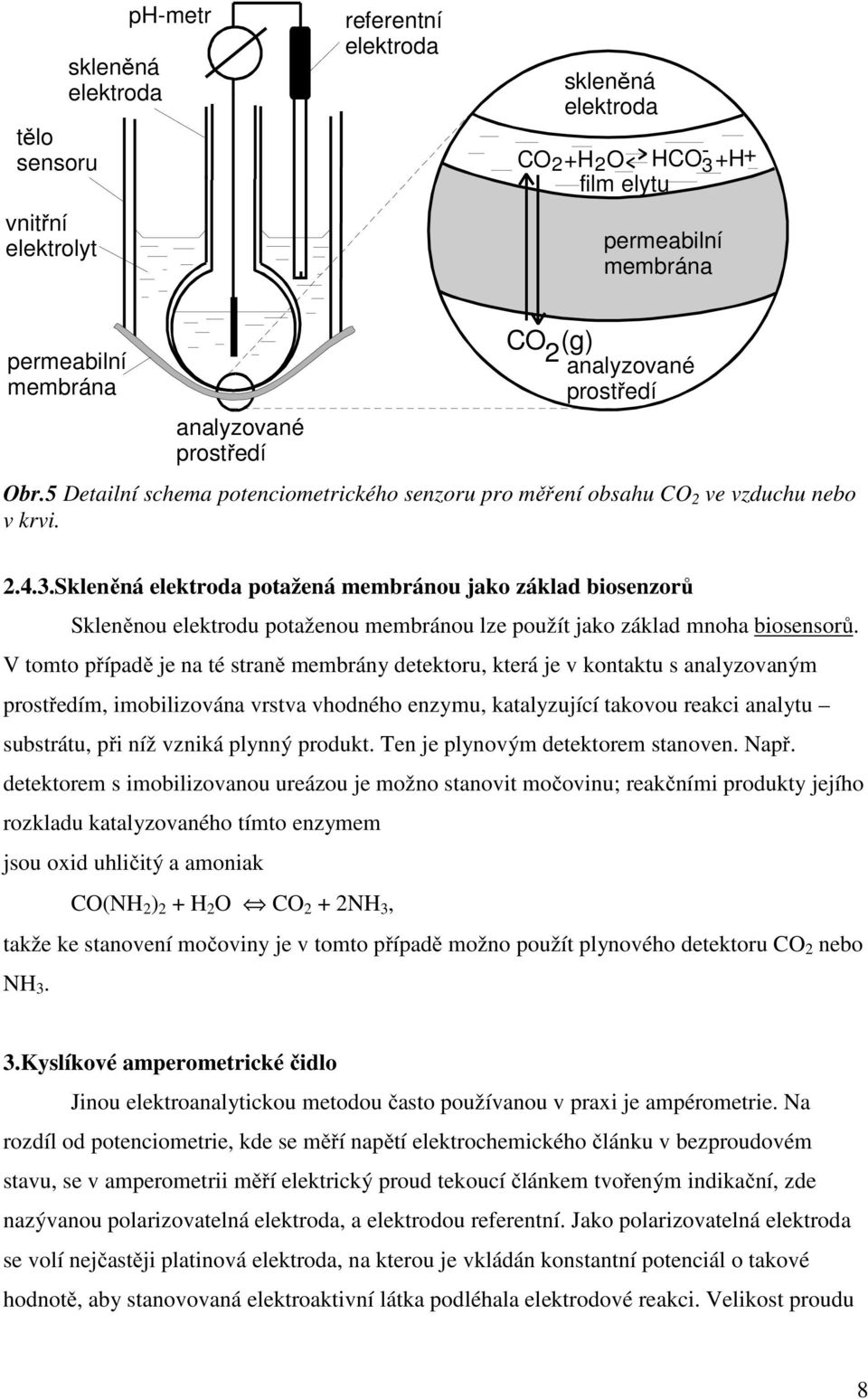 Skleněná potažená membránou jako základ biosenzorů Skleněnou elektrodu potaženou membránou lze použít jako základ mnoha biosensorů.