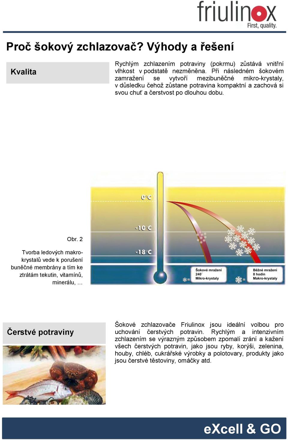 2 Tvorba ledových makrokrystalů vede k porušení buněčné membrány a tím ke ztrátám tekutin, vitamínů, minerálu, Čerstvé potraviny Šokové zchlazovače Friulinox jsou ideální volbou pro