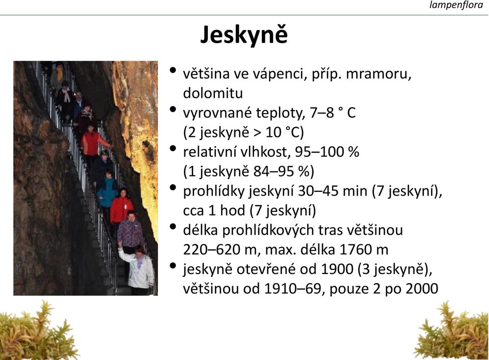 % (1 jeskyně 84 95 %) prohlídky jeskyní 30 45 min (7 jeskyní), cca 1 hod (7 jeskyní)