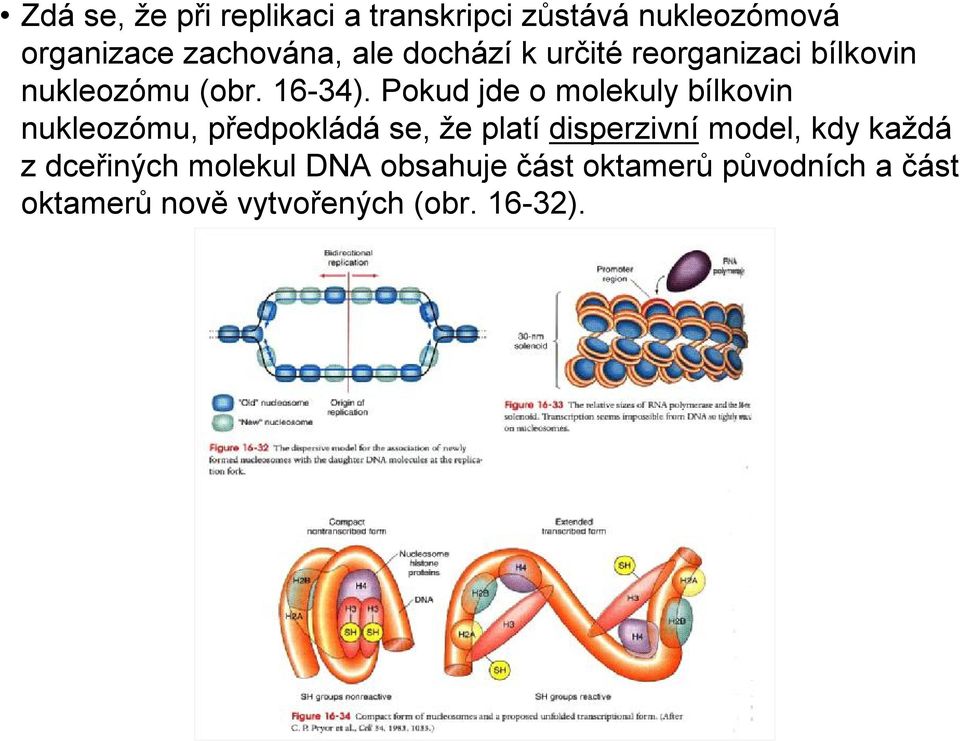 Pokud jde o molekuly bílkovin nukleozómu, předpokládá se, že platí disperzivní model,