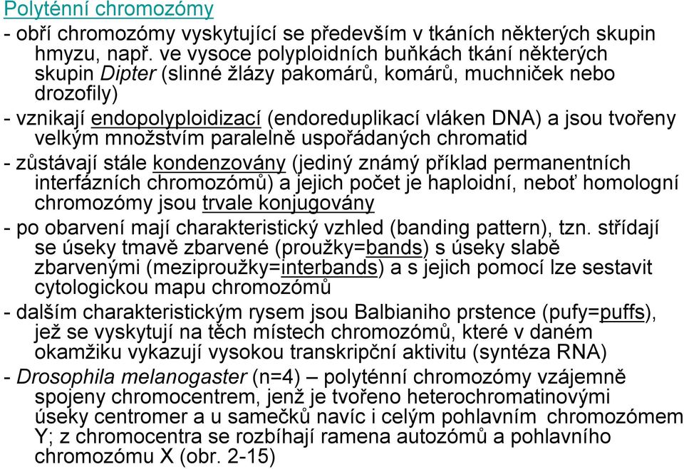 množstvím paralelně uspořádaných chromatid -zůstávají stále kondenzovány (jediný známý příklad permanentních interfázních chromozómů) a jejich počet je haploidní, neboť homologní chromozómy jsou