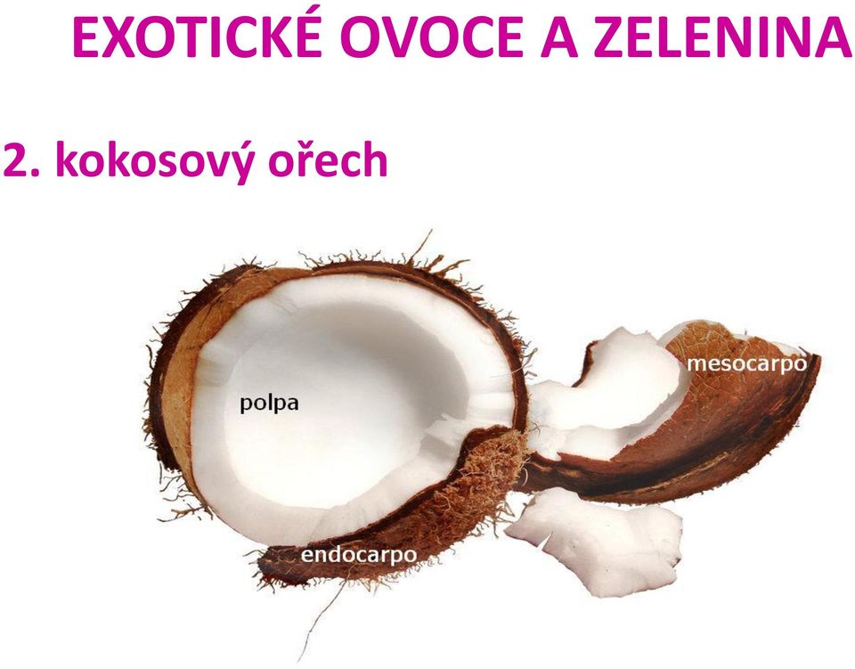 ořech