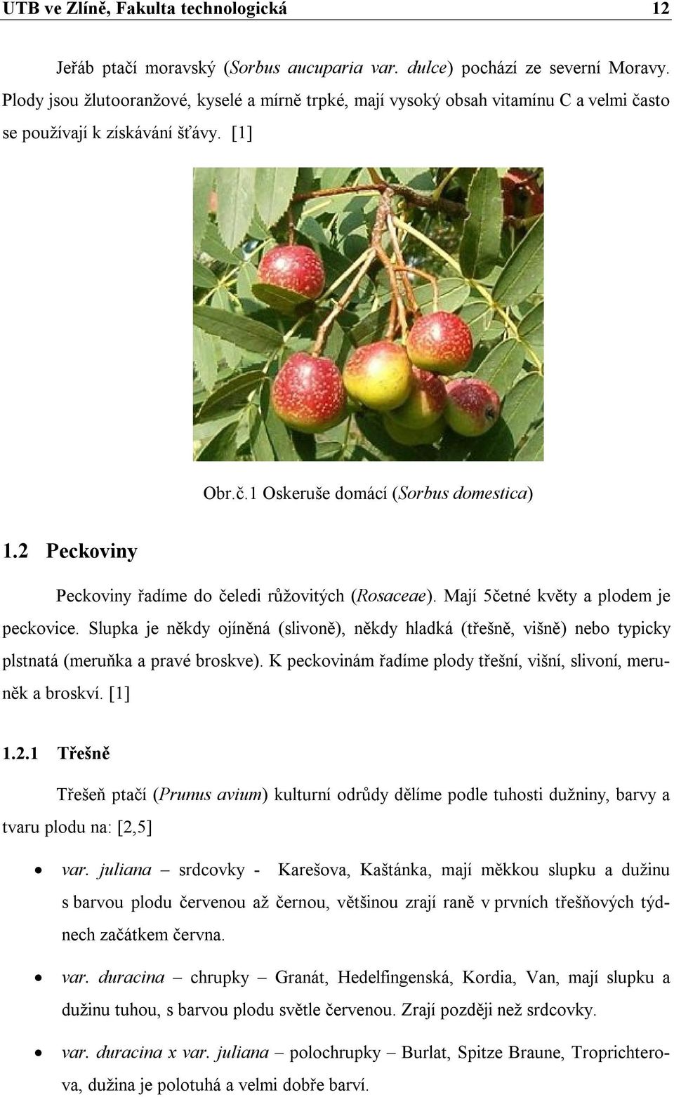 2 Peckoviny Peckoviny řadíme do čeledi růžovitých (Rosaceae). Mají 5četné květy a plodem je peckovice.