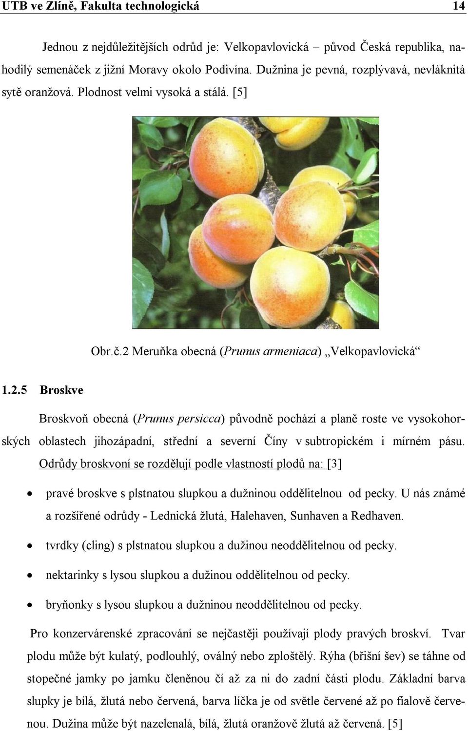 Meruňka obecná (Prunus armeniaca) Velkopavlovická 1.2.