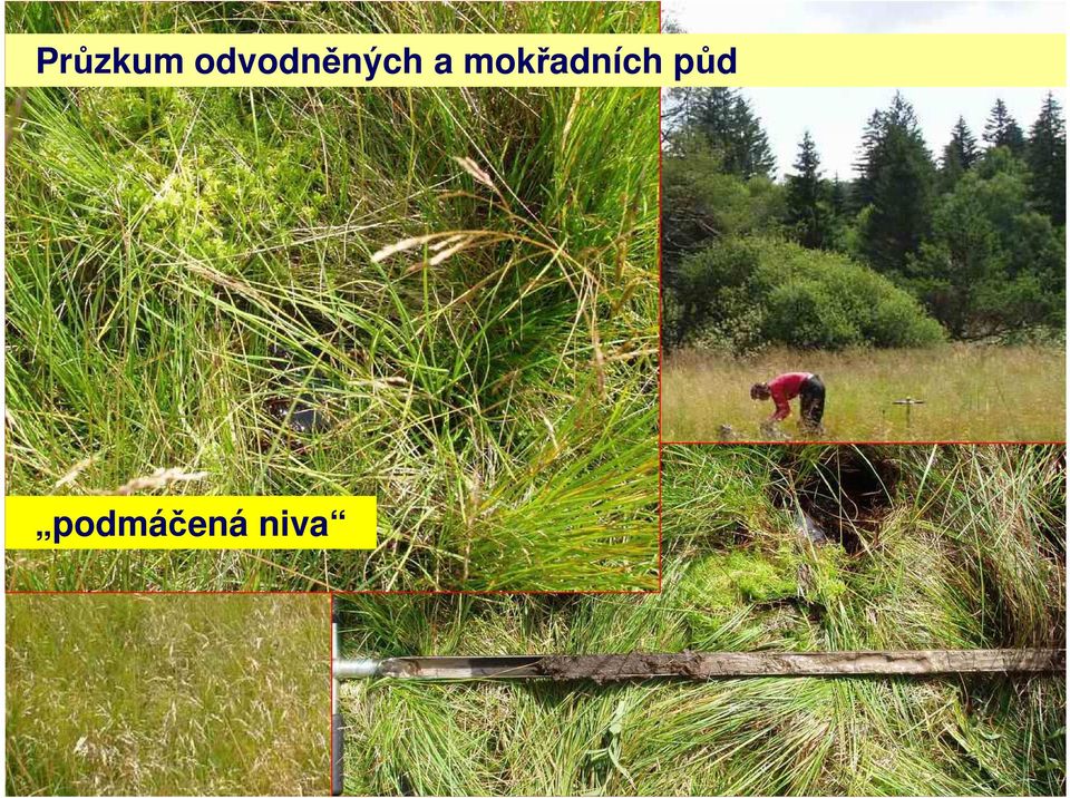 a mokřadních