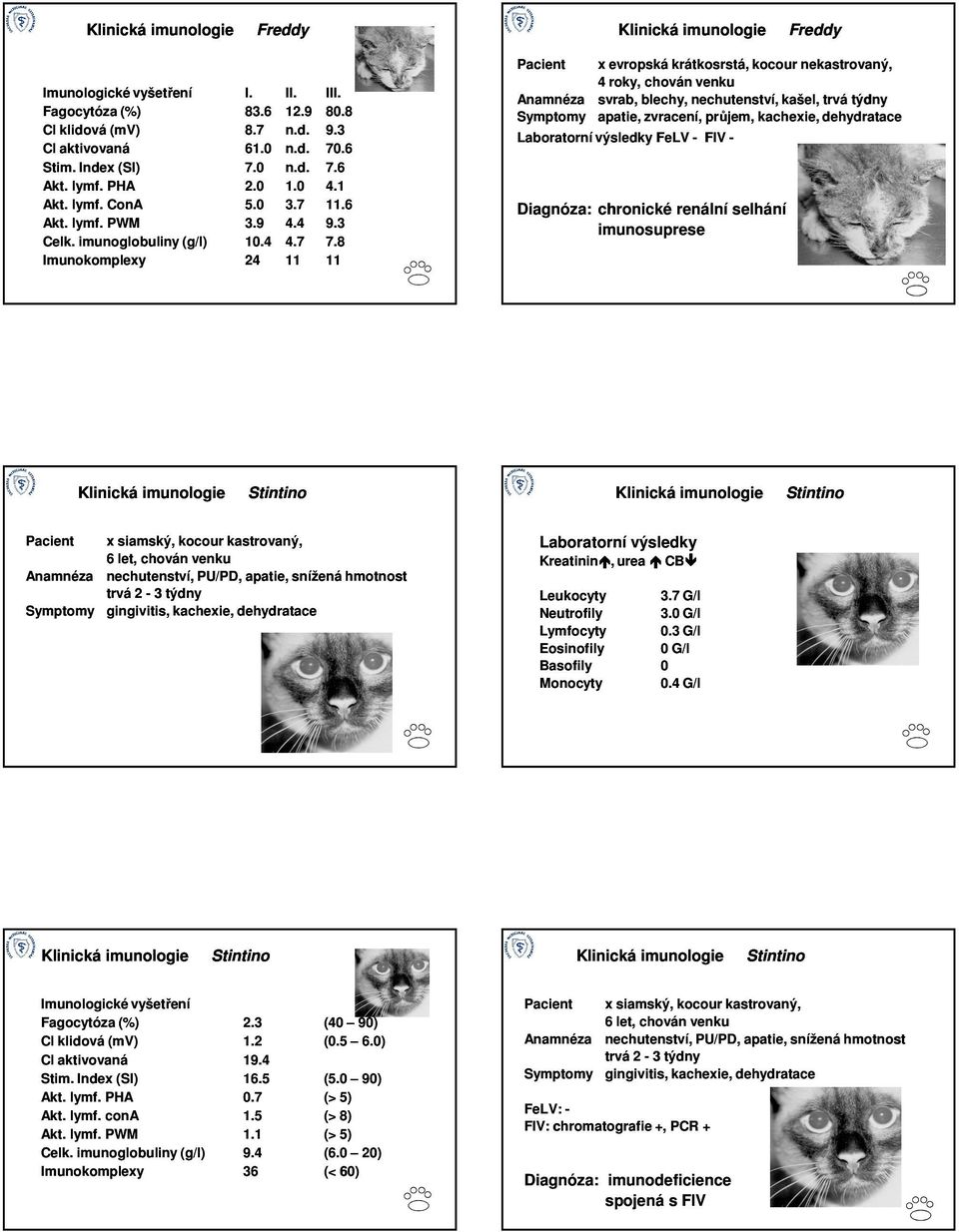 8 Imunokomplexy 24 11 11 x evropská krátkosrstá, kocour nekastrovaný, 4 roky, chován venku svrab, blechy, nechutenství, kašel, trvá týdny apatie, zvracení, průjem, kachexie, dehydratace Laboratorní