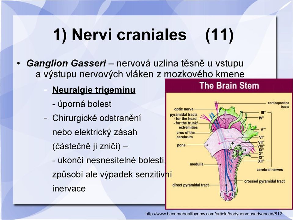 odstranění nebo elektrický zásah (částečně ji zničí) - ukončí nesnesitelné bolesti,