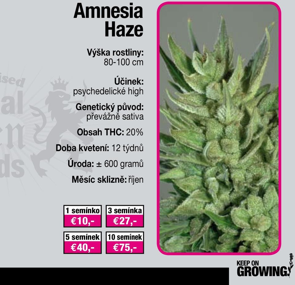 sativa Obsah THC: 20% Doba kvetení: 12 týdnů