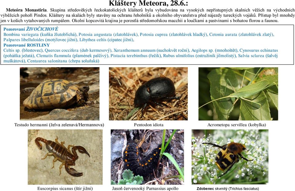 Okolní kopcovitá krajina je porostlá středomořskou macchií a loučkami a pastvinami s bohatou florou a faunou.
