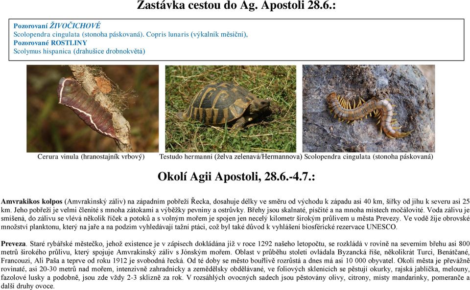 páskovaná) Okolí Agii Apostoli, 28.6.-4.7.: Amvrakikos kolpos (Amvrakinský záliv) na západním pobřeží Řecka, dosahuje délky ve směru od východu k západu asi 40 km, šířky od jihu k severu asi 25 km.