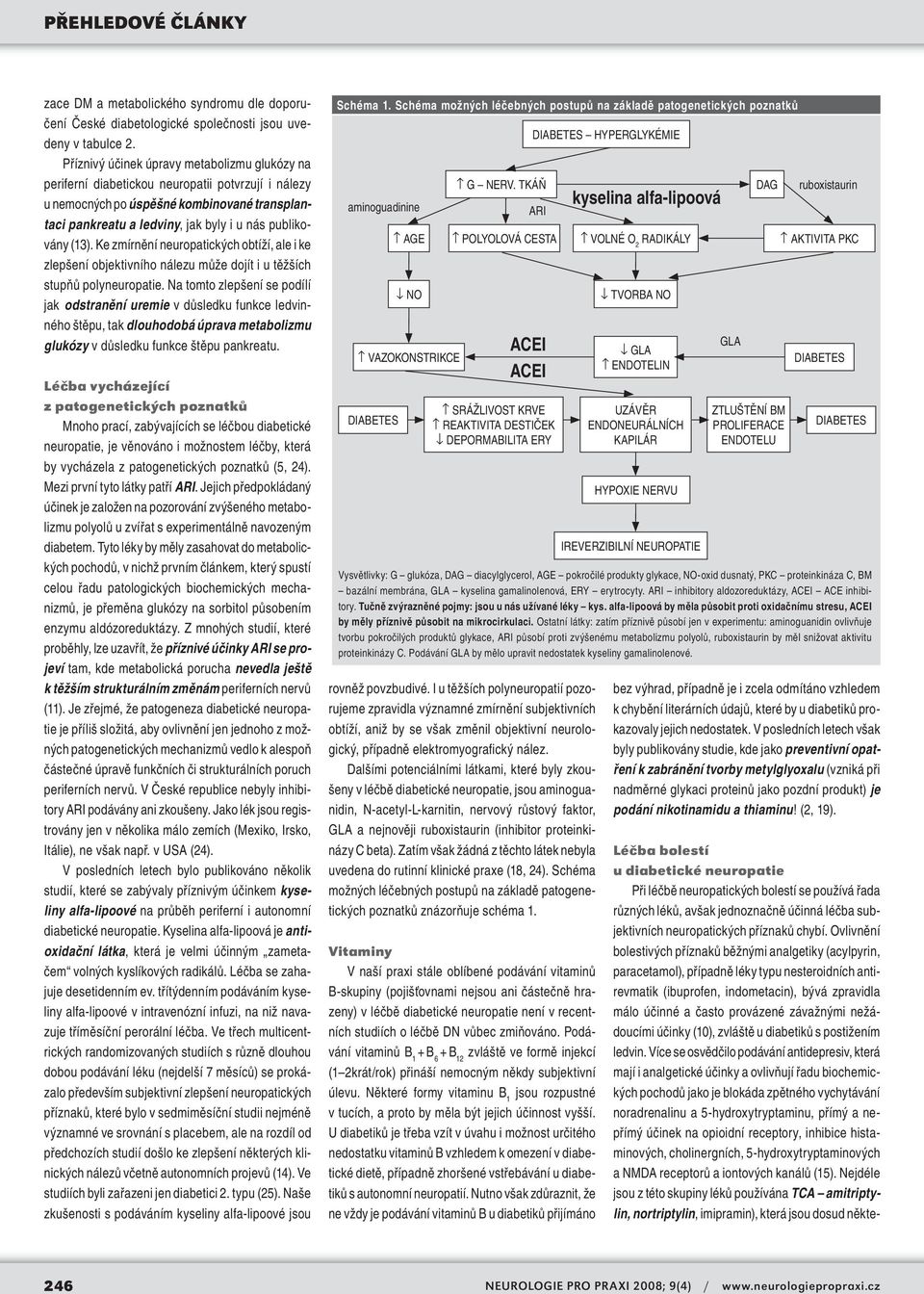 (13). Ke zmírnění neuropatických obtíží, ale i ke zlepšení objektivního nálezu může dojít i u těžších stupňů polyneuropatie.