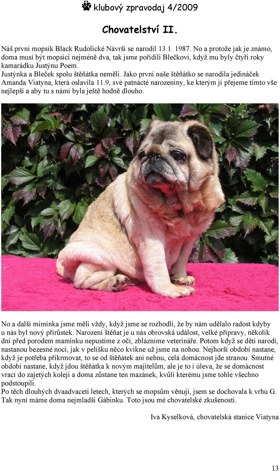Jako první naše štěňátko se narodila jedináček Amanda Viatyna, která oslavila 11.9, své patnácté narozeniny, ke kterým jí přejeme tímto vše nejlepší a aby tu s námi byla ještě hodně dlouho.