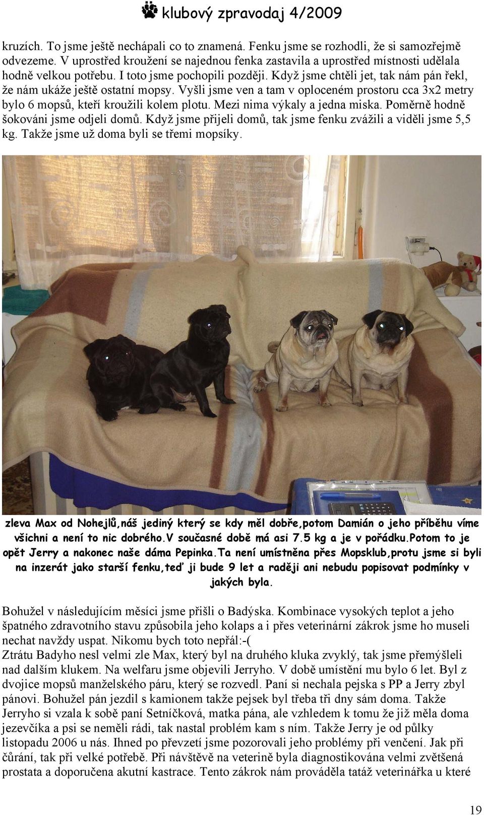 Vyšli jsme ven a tam v oploceném prostoru cca 3x2 metry bylo 6 mopsů, kteří kroužili kolem plotu. Mezi nima výkaly a jedna miska. Poměrně hodně šokováni jsme odjeli domů.