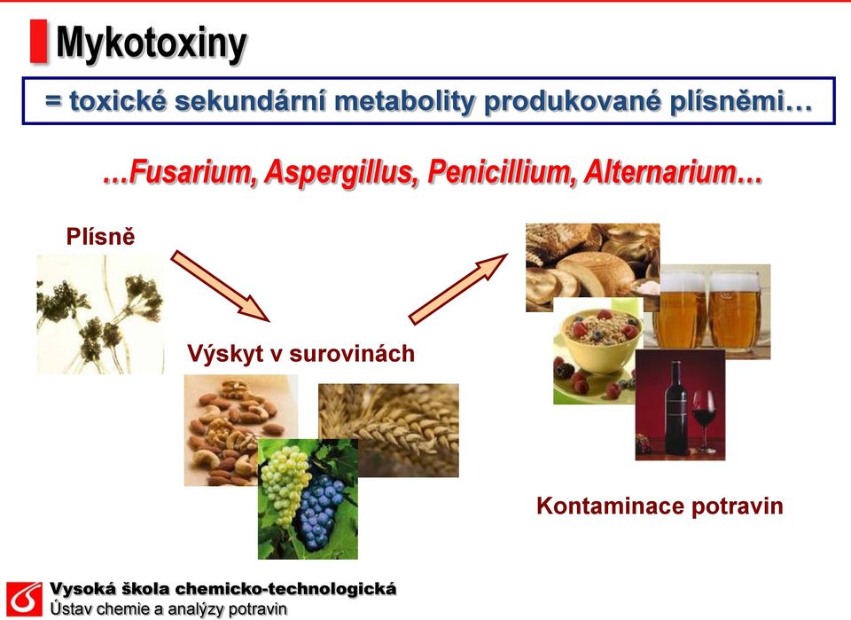 Fusarium, Aspergillus, Penicillium,