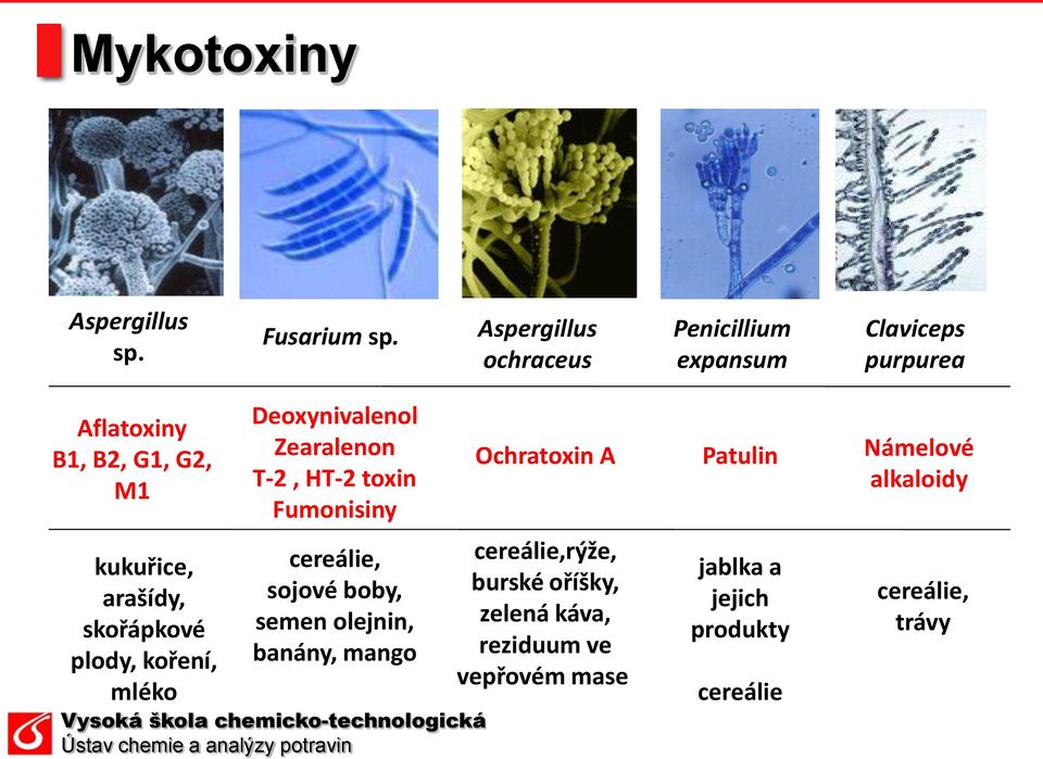 skořápkové plody, koření, mléko Deoxynivalenol Zearalenon T-2, HT-2 toxin Fumonisiny cereálie, sojové boby,