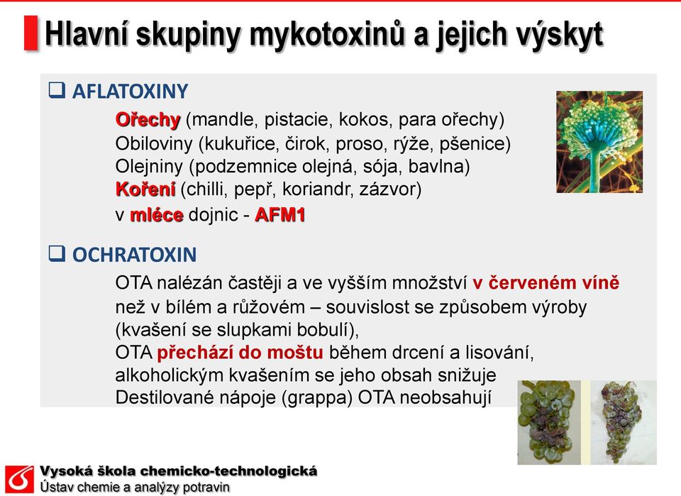 nalézán častěji a ve vyšším množství v červeném víně než v bílém a růžovém souvislost se způsobem výroby (kvašení se slupkami bobulí),