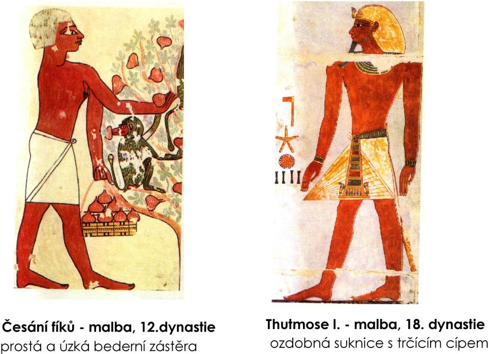 zástěra Thutmose I. - malba, 18.