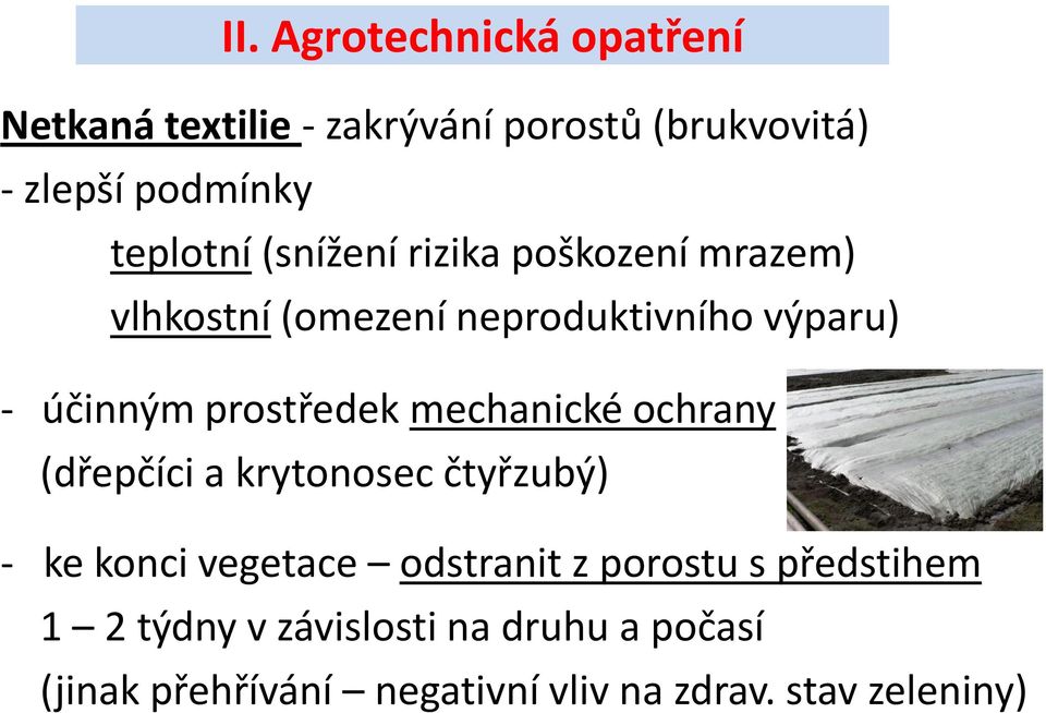 prostředek mechanické ochrany (dřepčíci a krytonosec čtyřzubý) - ke konci vegetace odstranit z