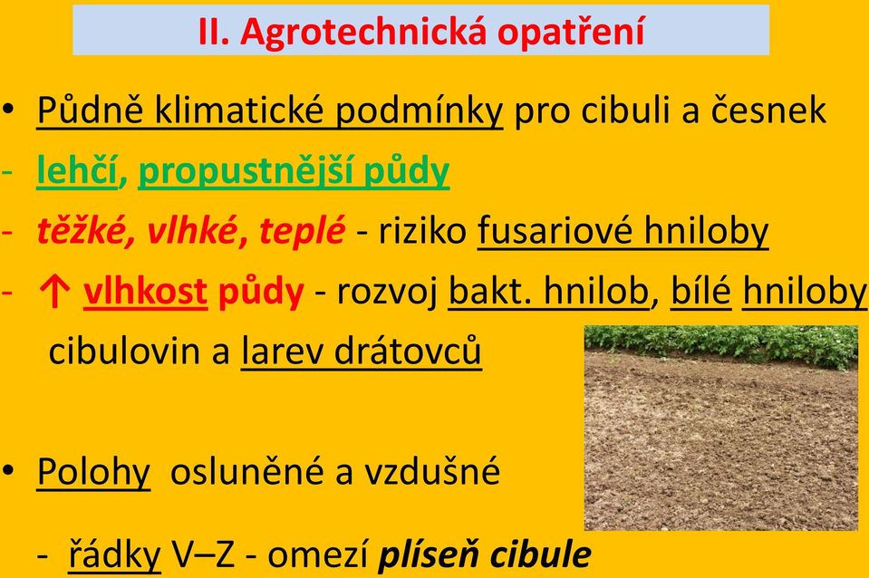 fusariové hniloby - vlhkost půdy - rozvoj bakt.