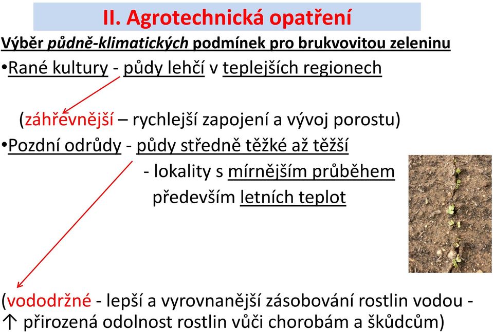 - půdy středně těžké až těžší - lokality s mírnějším průběhem především letních teplot (vododržné -