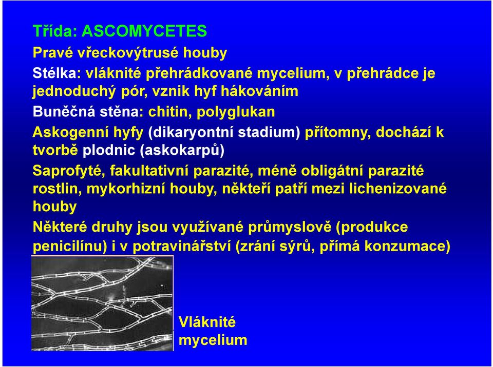 (askokarpů) Saprofyté, fakultativní parazité, méně obligátní parazité rostlin, mykorhizní houby, někteří patří mezi