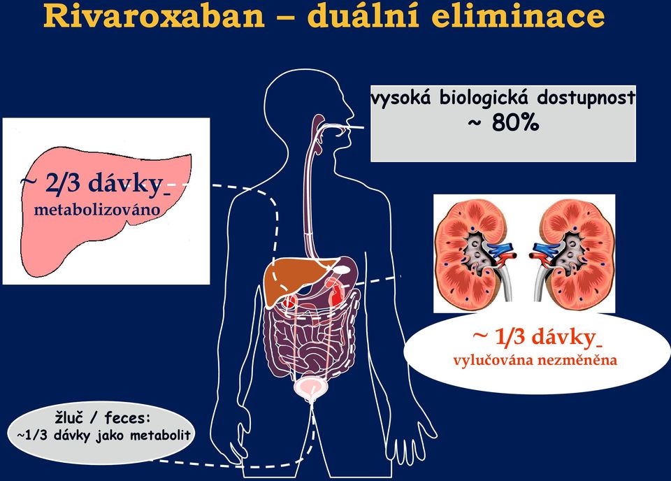 metabolizováno ~ 1/3 dávky vylučována