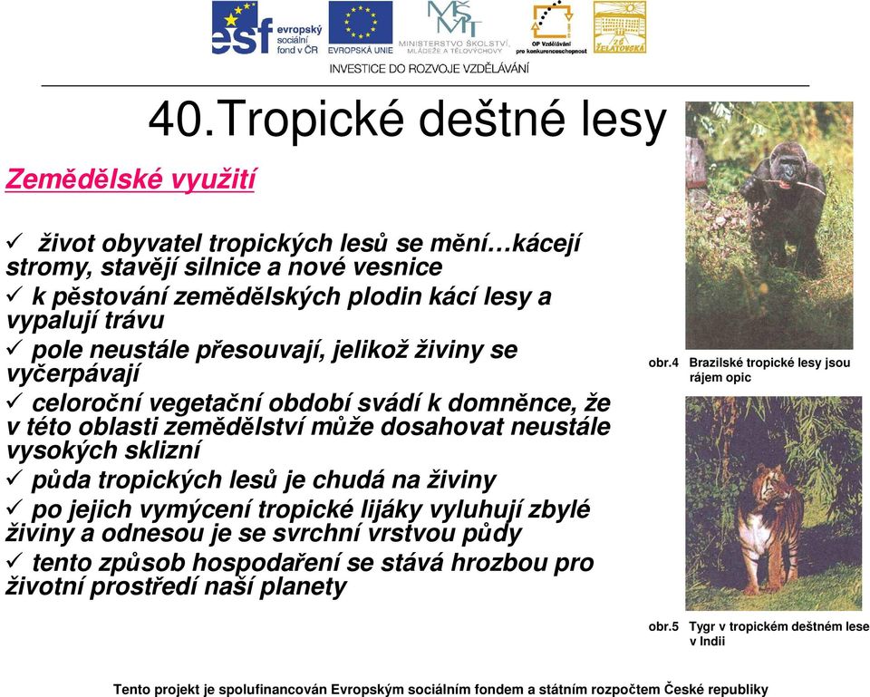 pole neustále přesouvají, jelikož živiny se vyčerpávají celoroční vegetační období svádí k domněnce, že v této oblasti zemědělství může dosahovat neustále vysokých