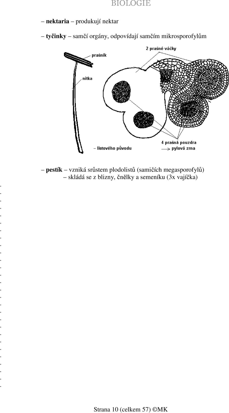vzniká srůstem plodolistů (samičích megasporofylů) skládá se