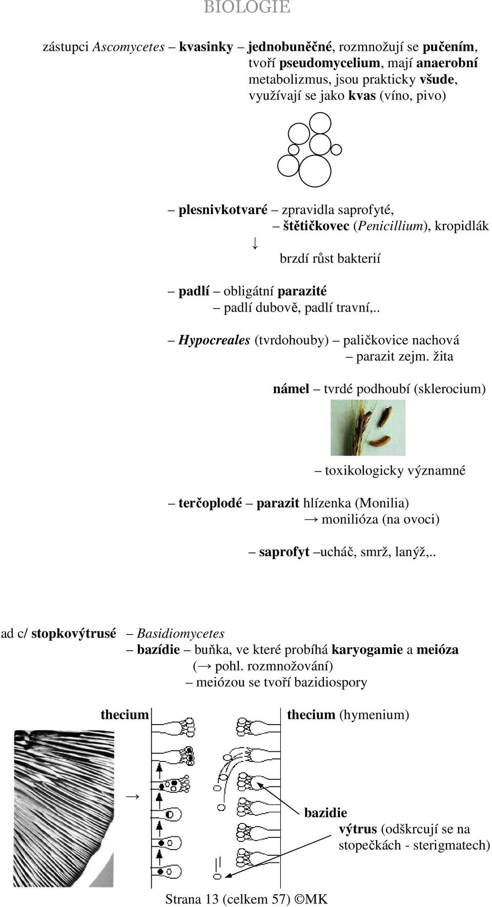 žita námel tvrdé podhoubí (sklerocium) toxikologicky významné terčoplodé parazit hlízenka (Monilia) monilióza (na ovoci) saprofyt ucháč, smrž, lanýž,.