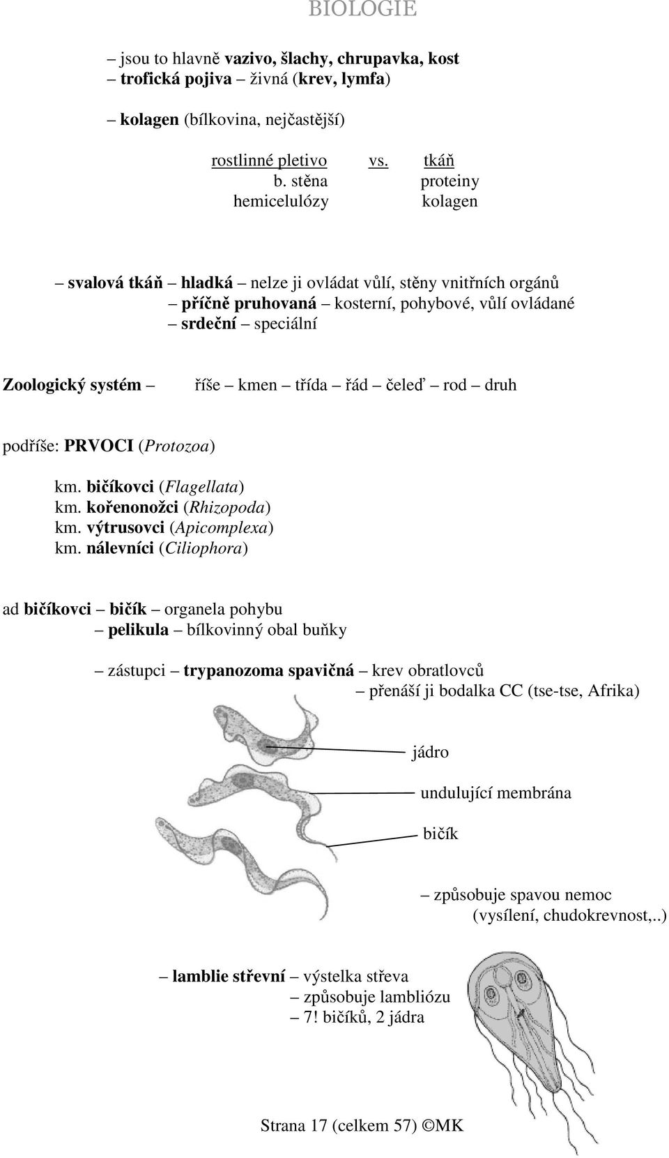 třída řád čeleď rod druh podříše: PRVOCI (Protozoa) km. bičíkovci (Flagellata) km. kořenonožci (Rhizopoda) km. výtrusovci (Apicomplexa) km.