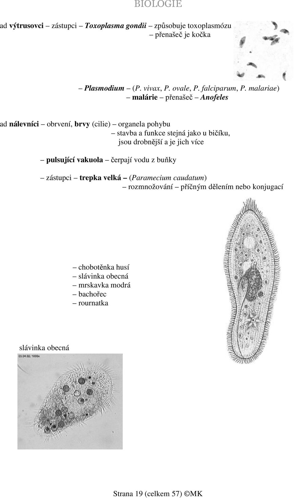 malariae) malárie přenašeč Anofeles ad nálevníci obrvení, brvy (cilie) organela pohybu stavba a funkce stejná jako u bičíku, jsou