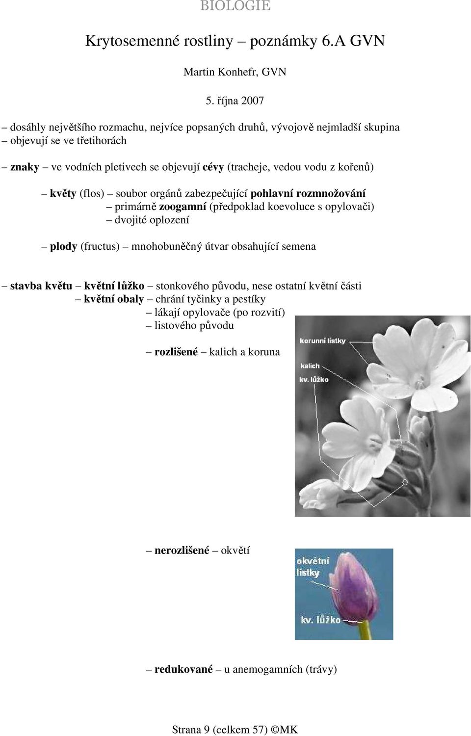 vedou vodu z kořenů) květy (flos) soubor orgánů zabezpečující pohlavní rozmnožování primárně zoogamní (předpoklad koevoluce s opylovači) dvojité oplození plody (fructus)