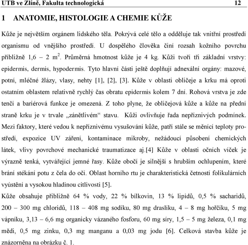 Tyto hlavní části ještě doplňují adnexální orgány: mazové, potní, mléčné ţlázy, vlasy, nehty [1], [2], [3].