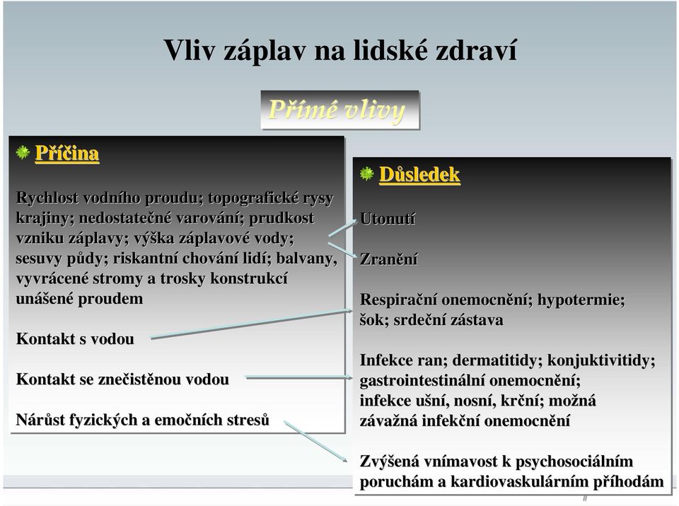 Nárůst fyzických a emočních stresů Důsledek Utonutí Zranění Respirační onemocnění; hypotermie; šok; srdeční zástava Infekce ran; dermatitidy; konjuktivitidy;