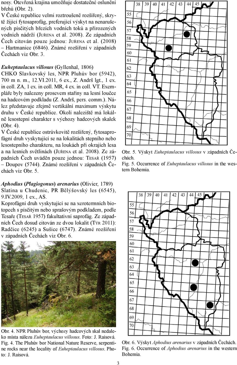 Ze západních Čech citován pouze jednou: JUŘENA et al. (2008) Hartmanice (6846). Známé rozšíření v západních Čechách viz Obr. 3.