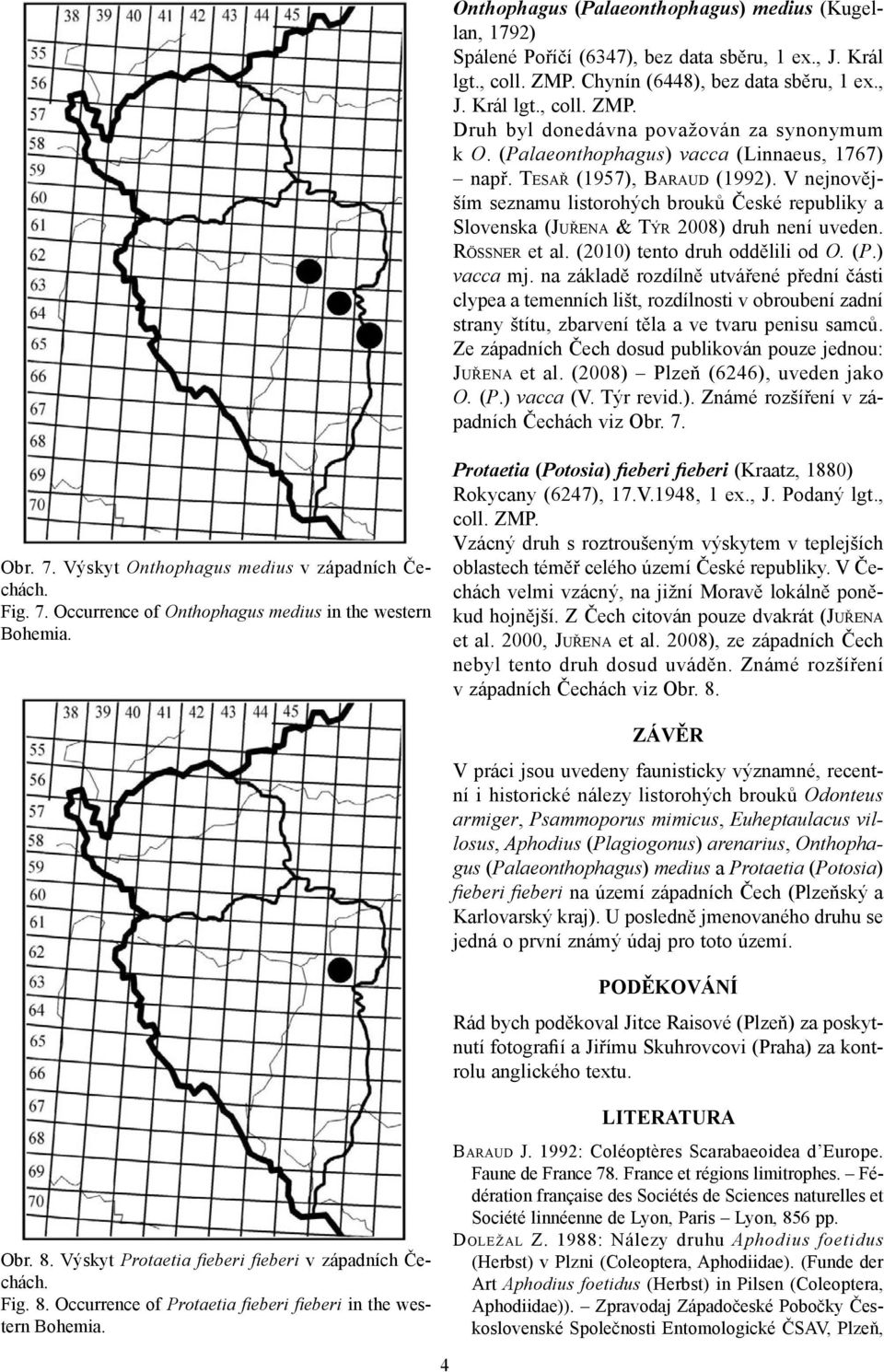 (2010) tento druh oddělili od O. (P.) vacca mj. na základě rozdílně utvářené přední části clypea a temenních lišt, rozdílnosti v obroubení zadní strany štítu, zbarvení těla a ve tvaru penisu samců.