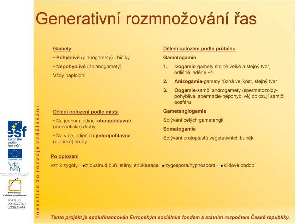 Izogamie-gamety stejně velké a stejný tvar, odlišně laděné +/- 2. Anizogamie-gamety různá velikost, stejný tvar 3.