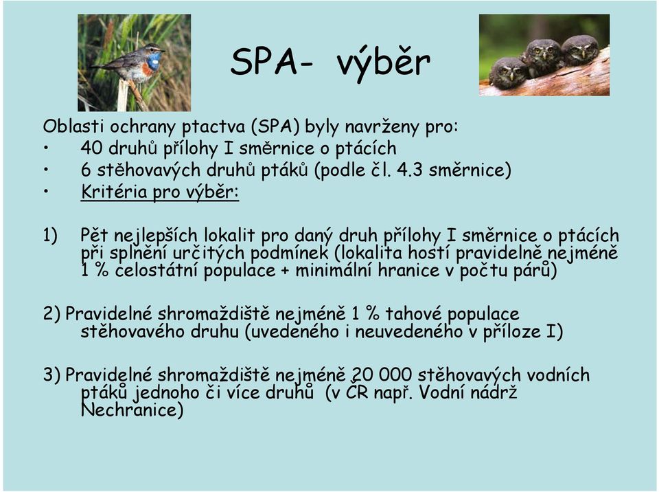3 směrnice) Kritéria pro výběr: 1) Pět nejlepších lokalit pro daný druh přílohy I směrnice o ptácích při splnění určitých podmínek (lokalita hostí