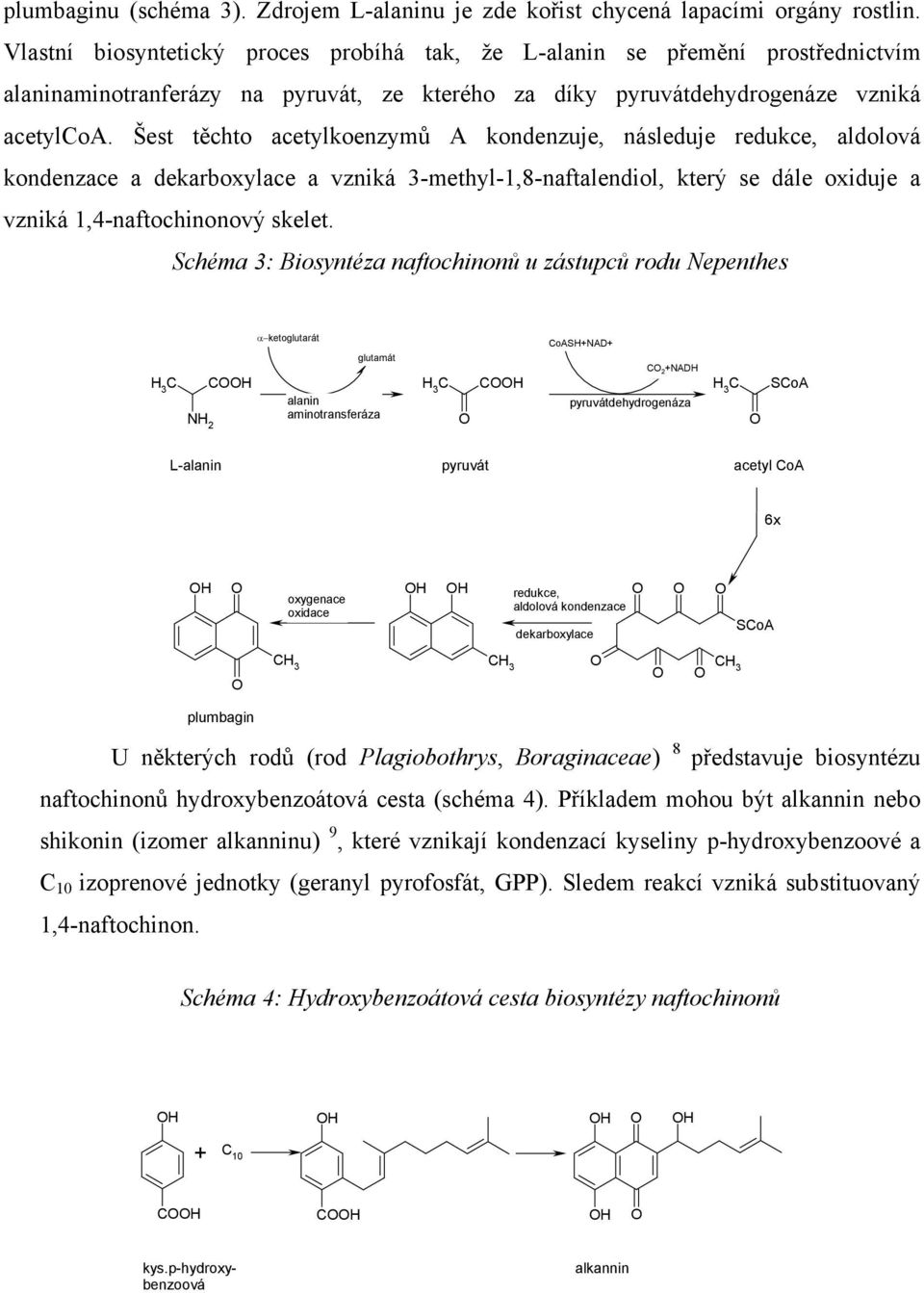 Šest těchto acetylkoenzymů A kondenzuje, následuje redukce, aldolová kondenzace a dekarboxylace a vzniká 3-methyl-1,8-naftalendiol, který se dále oxiduje a vzniká 1,4-naftochinonový skelet.