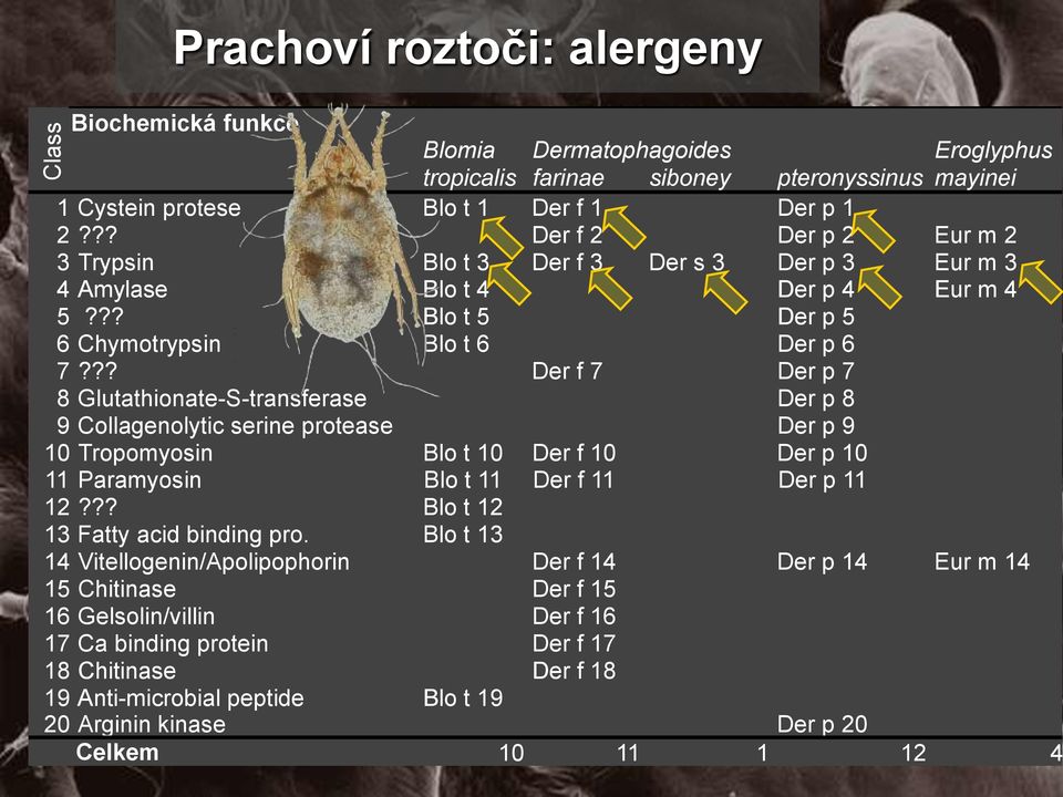 ?? Der f 7 Der p 7 8 Glutathionate-S-transferase Der p 8 9 Collagenolytic serine protease Der p 9 10 Tropomyosin Blo t 10 Der f 10 Der p 10 11 Paramyosin Blo t 11 Der f 11 Der p 11 12?
