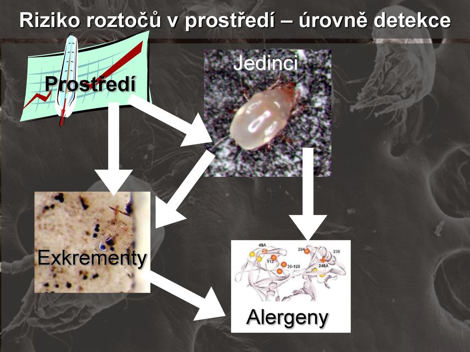 detekce Prostředí