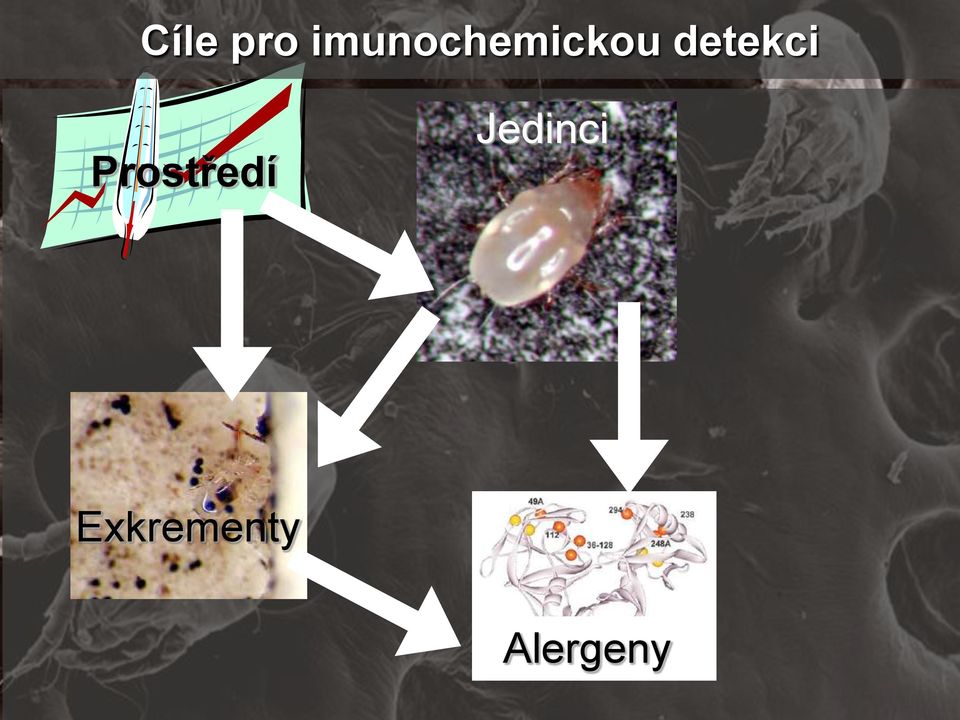 detekci Prostředí
